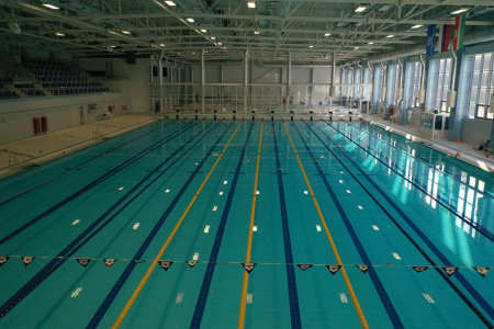 Проведение спортивных сборов и соревнований